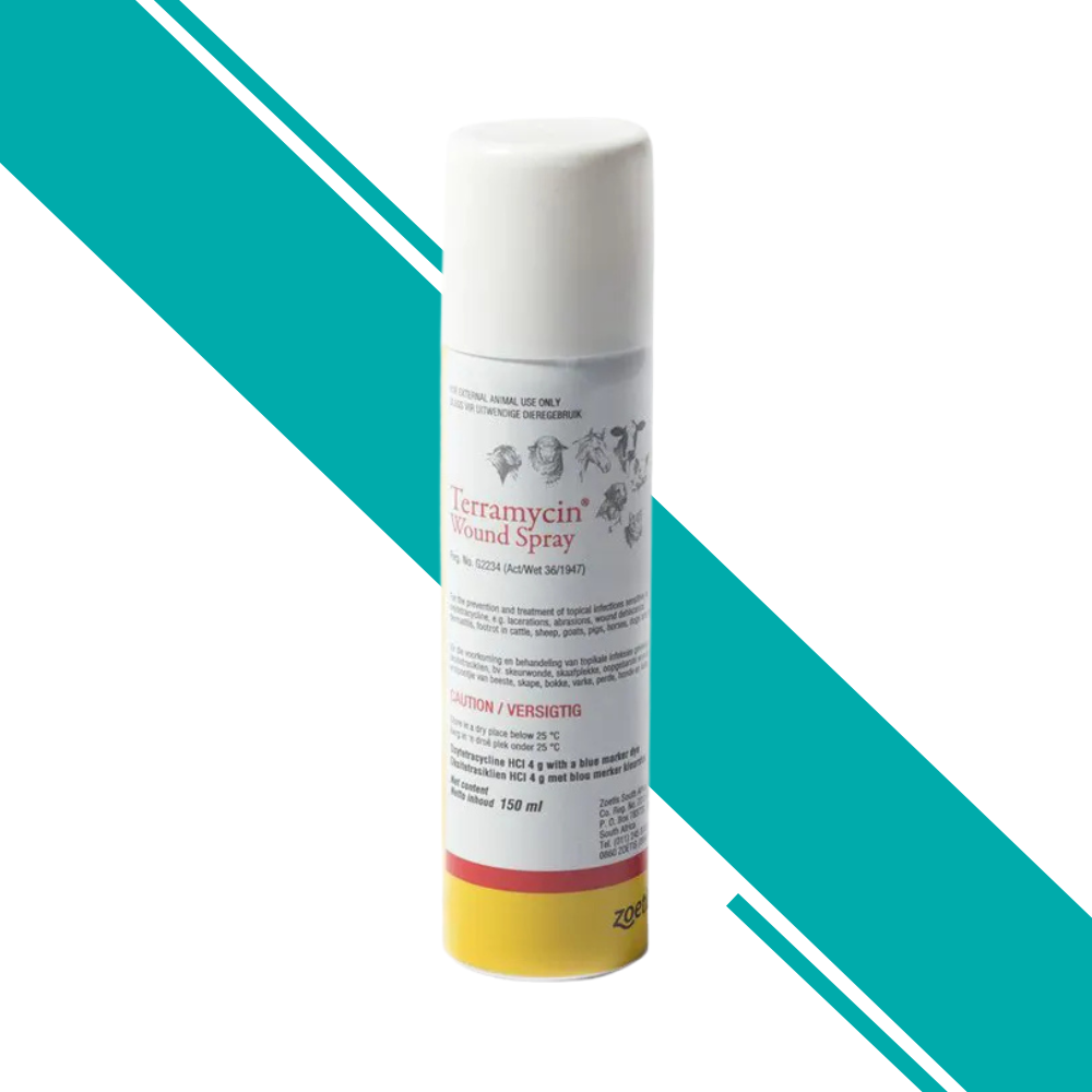 Terramycin Aerosol 150ml